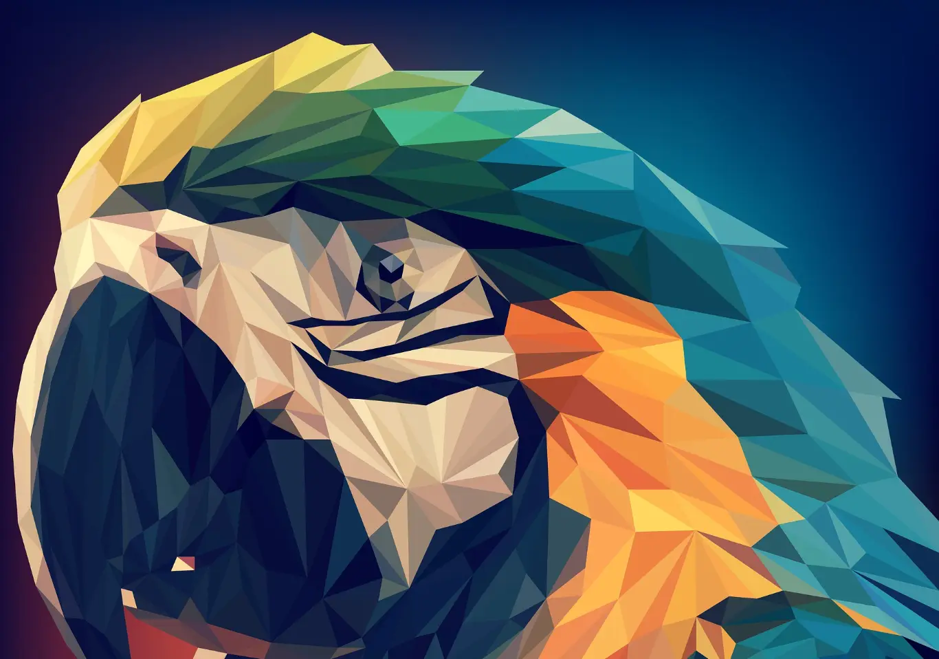 Loro en una imagen vectorial.